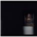 „Zbawiciel świata” Leonarda da Vinci sprzedany za 450,3 miliona dolarów w Christie's Христос с шаром да винчи